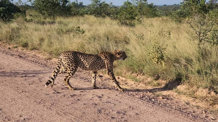 Golden hour at African Sunset Getaways